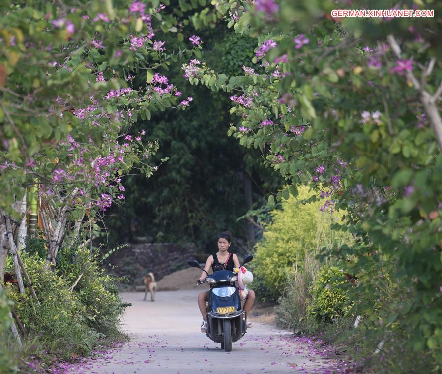 #CHINA-HAINAN-SCENERY(CN)