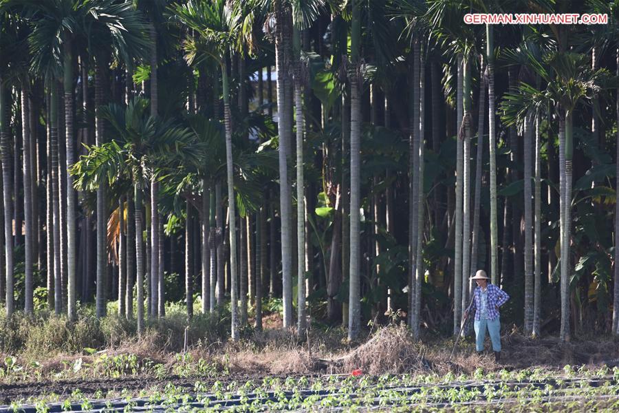 #CHINA-HAINAN-SCENERY(CN)