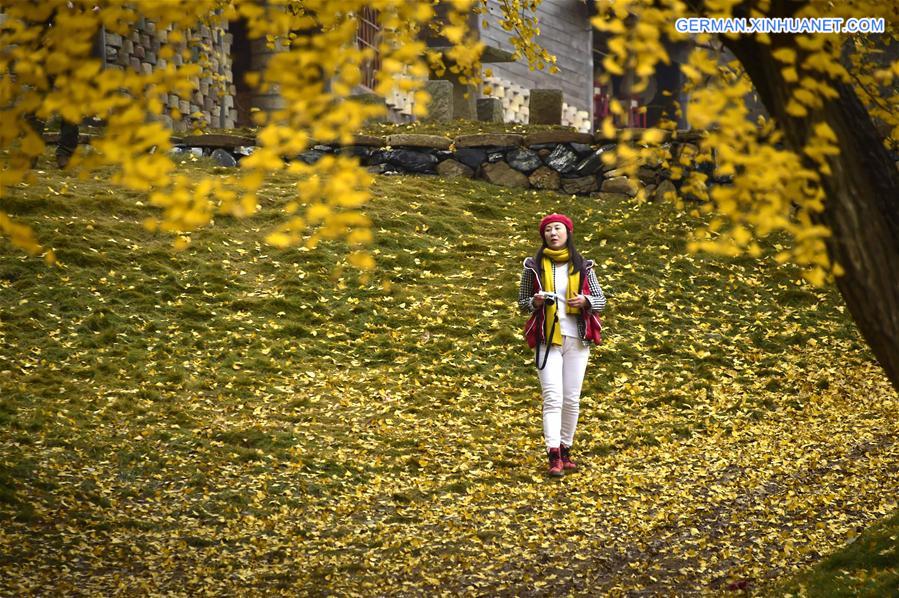 CHINA-HUBEI-GINKGO TREES (CN)