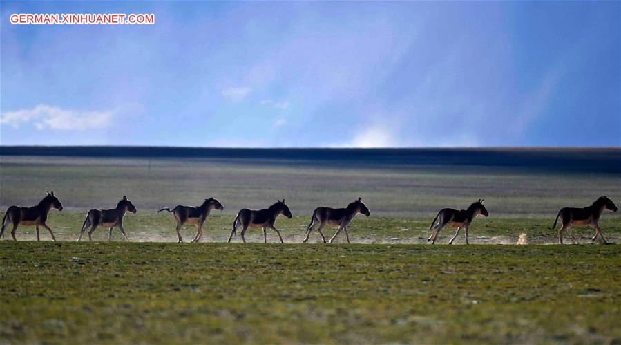 CHINA-BEIJING-TIBET-ENVIRONMENT EVALUATION REPORT (CN)