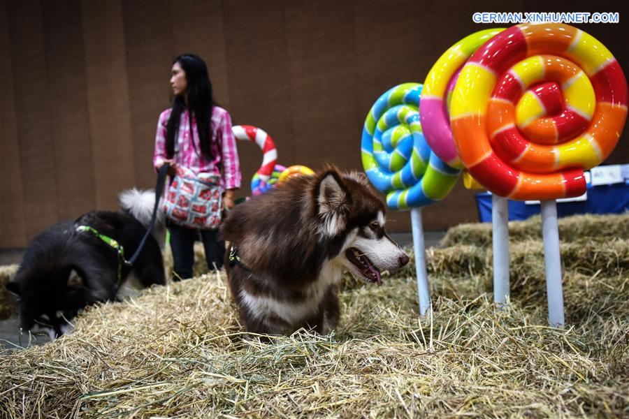 THAILAND-BANGKOK-PET SHOW