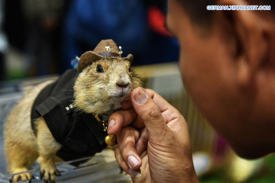 THAILAND-BANGKOK-PET SHOW