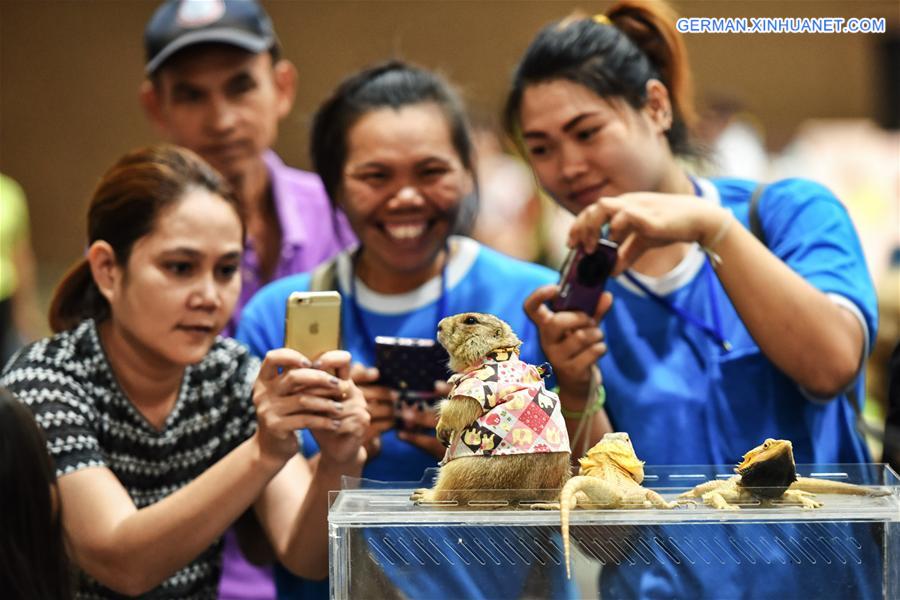 THAILAND-BANGKOK-PET SHOW