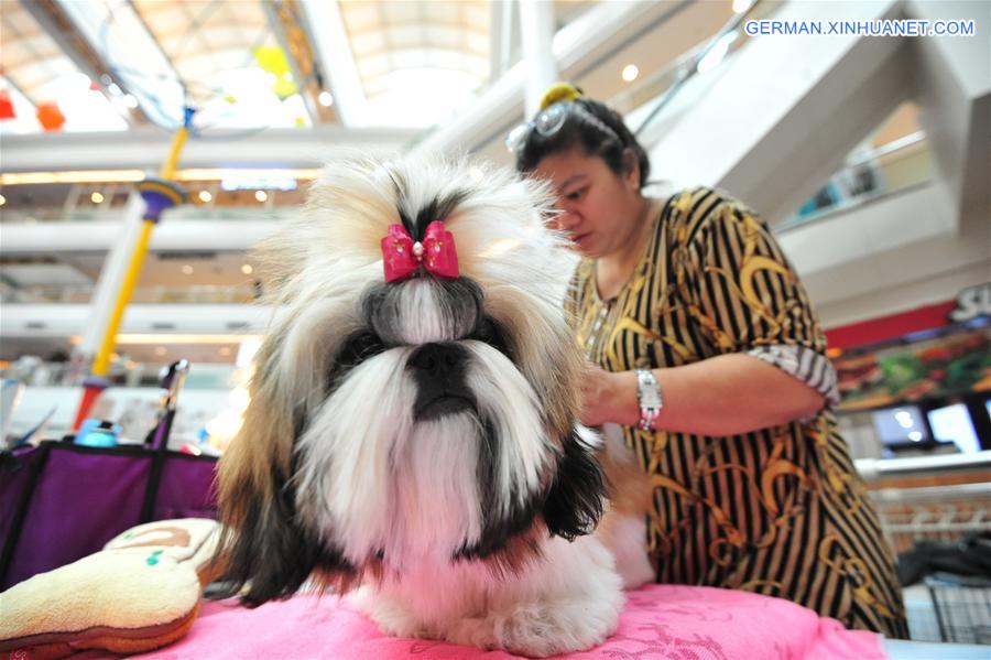 THAILAND-BANGKOK-INTERNATIONAL DOG SHOW