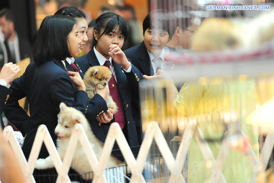 THAILAND-BANGKOK-INTERNATIONAL DOG SHOW