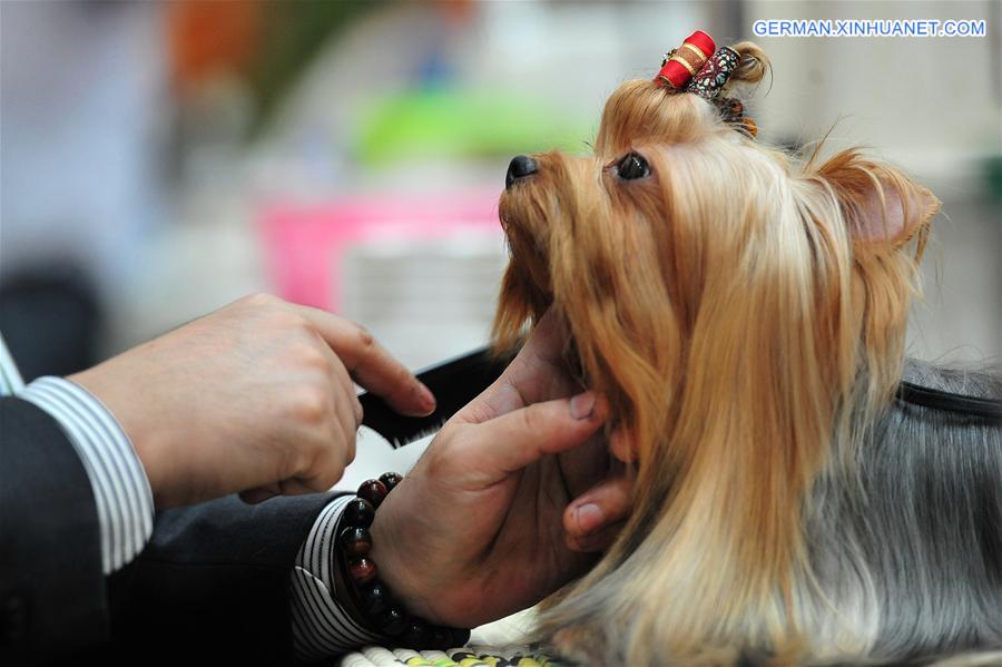 THAILAND-BANGKOK-INTERNATIONAL DOG SHOW