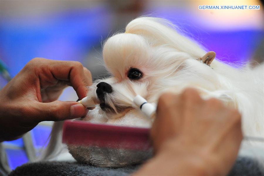 THAILAND-BANGKOK-INTERNATIONAL DOG SHOW