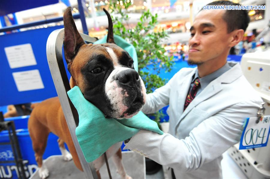 THAILAND-BANGKOK-INTERNATIONAL DOG SHOW