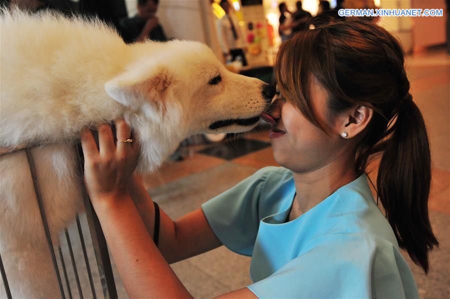 THAILAND-BANGKOK-INTERNATIONAL DOG SHOW