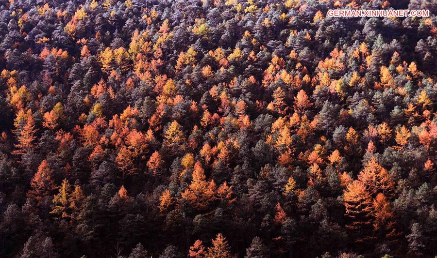 CHINA-YUNNAN-YULONG MOUNTAIN-SCENERY (CN)