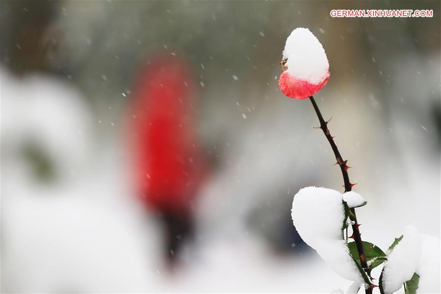 #CHINA-TIANJIN-SNOWFALL (CN)