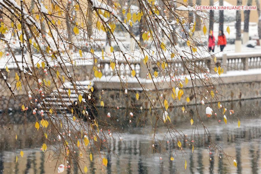 #CHINA-TIANJIN-SNOWFALL (CN)