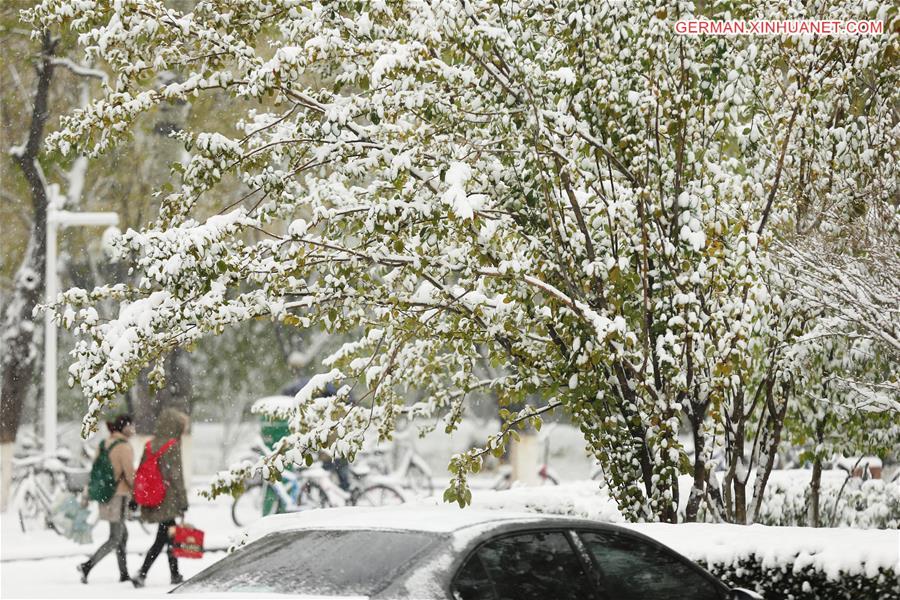 #CHINA-TIANJIN-SNOWFALL (CN)