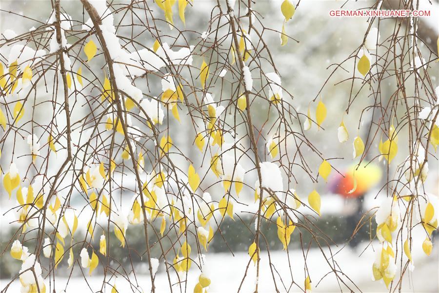 #CHINA-TIANJIN-SNOWFALL (CN)