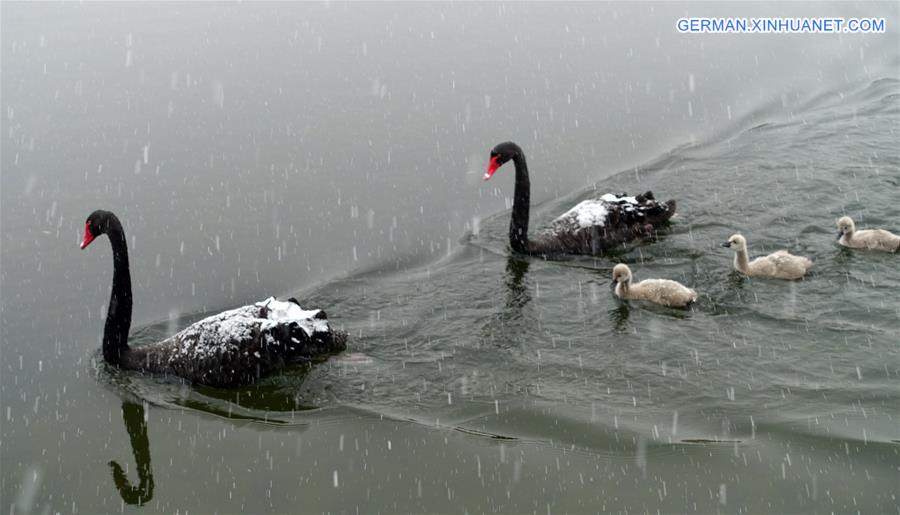 CHINA-BEIJING-SNOWFALL (CN)