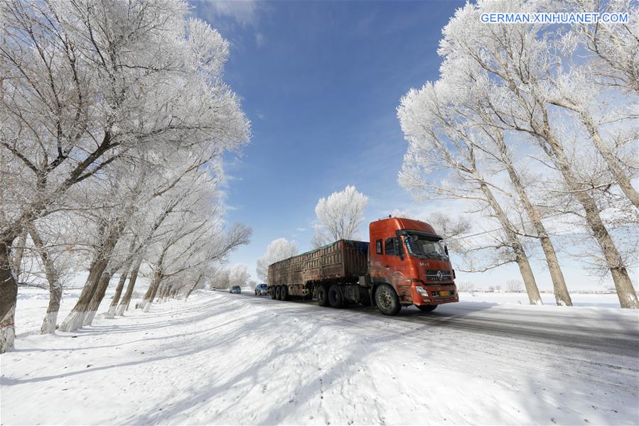 #CHINA-XINJIANG-HAMI-SNOWFALL (CN)