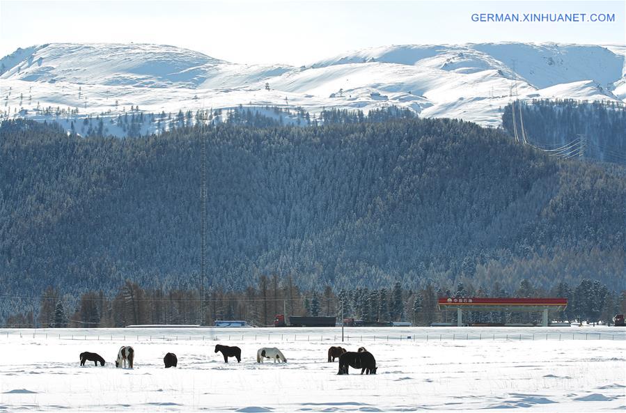 #CHINA-XINJIANG-HAMI-SNOWFALL (CN)