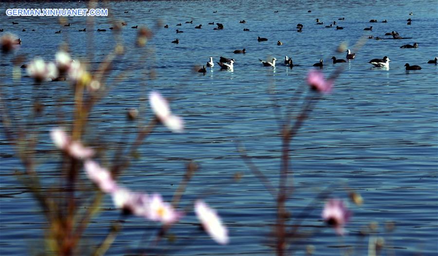 CHINA-YUNNAN-LUGU LAKE (CN)