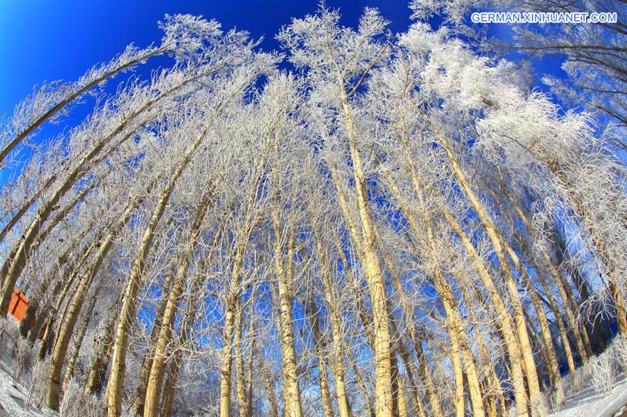 #CHINA-XINJIANG-ALTAY-RIME SCENERY (CN)