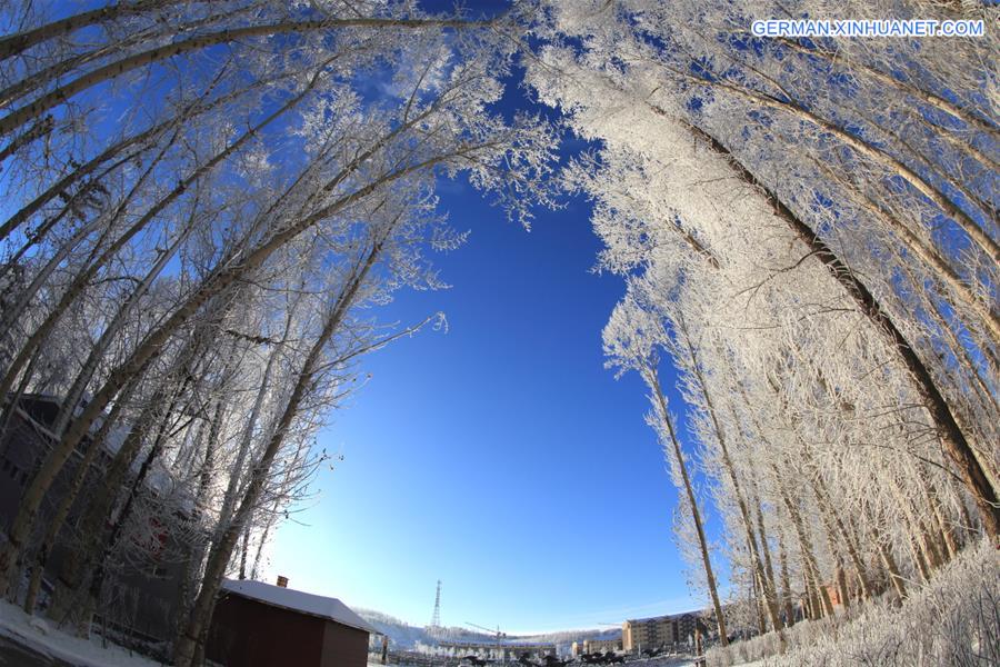 #CHINA-XINJIANG-ALTAY-RIME SCENERY (CN)