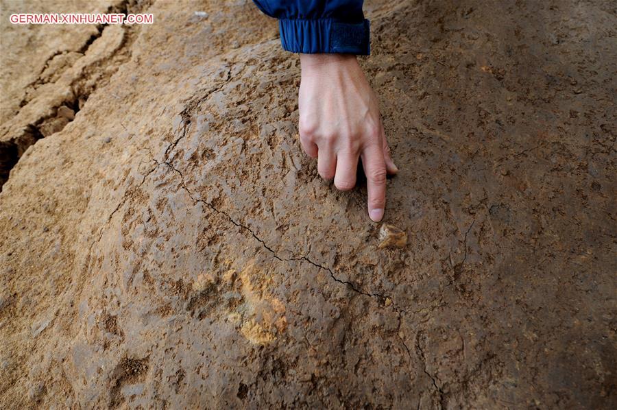 CHINA-SHAANXI-LONGGANG TEMPLE RUINS-ARCHAEOLOGY (CN)