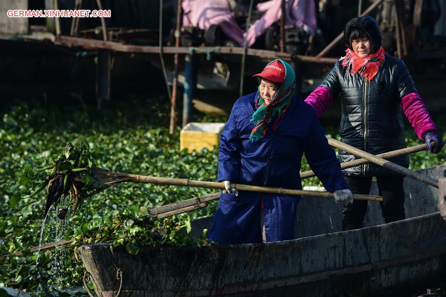 CHINA-ANHUI-CHAOHU LAKE (CN)