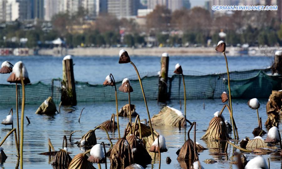 CHINA-JINAN-DAMING LAKE (CN)