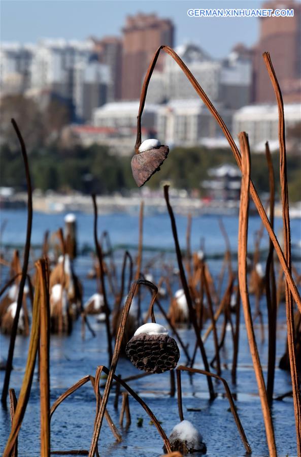 CHINA-JINAN-DAMING LAKE (CN)