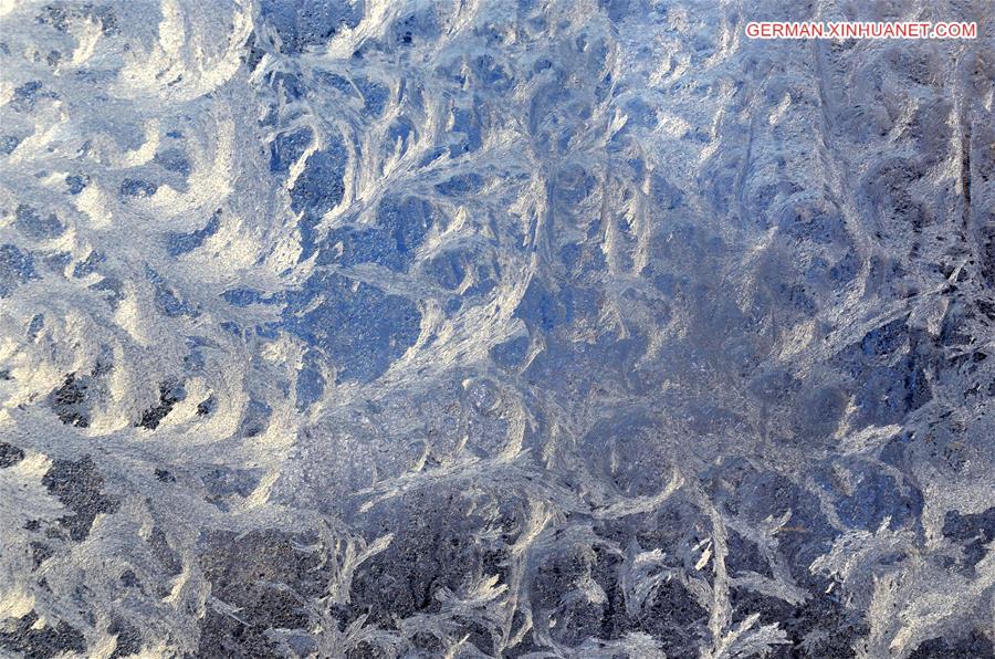 #CHINA-SHANDONG-FROST (CN)