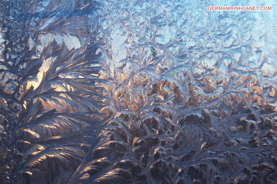 #CHINA-SHANDONG-FROST (CN)