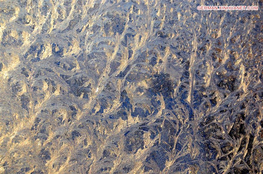 #CHINA-SHANDONG-FROST (CN)