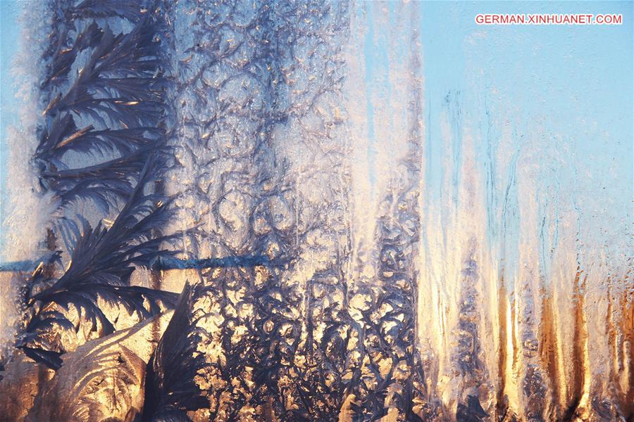 #CHINA-SHANDONG-FROST (CN)