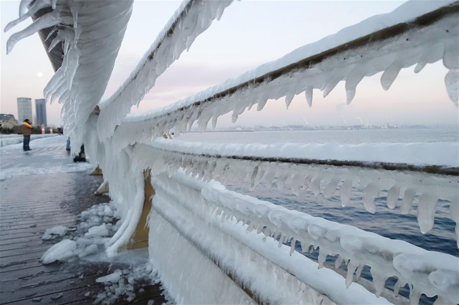 #CHINA-DALIAN-ICICLE (CN)