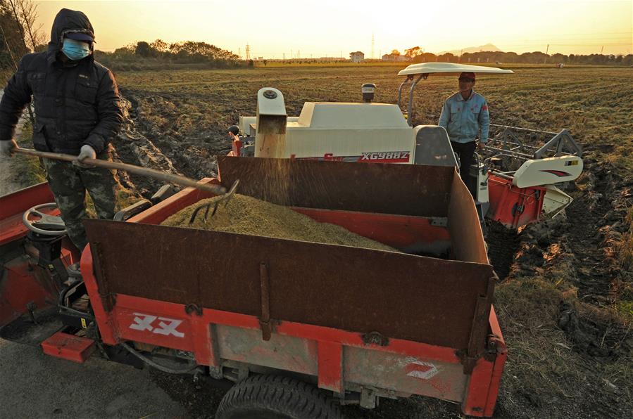 CHINA-ZHEJIANG-HUZHOU-FARM WORK (CN)