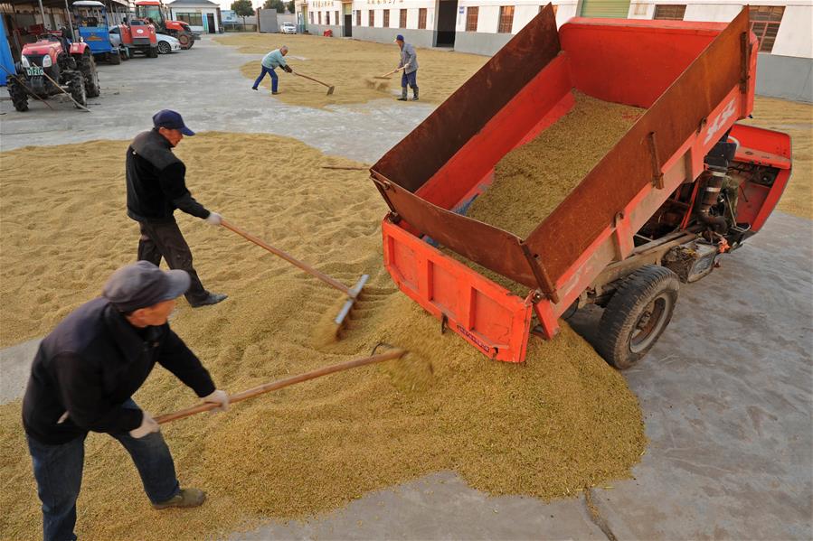 CHINA-ZHEJIANG-HUZHOU-FARM WORK (CN)