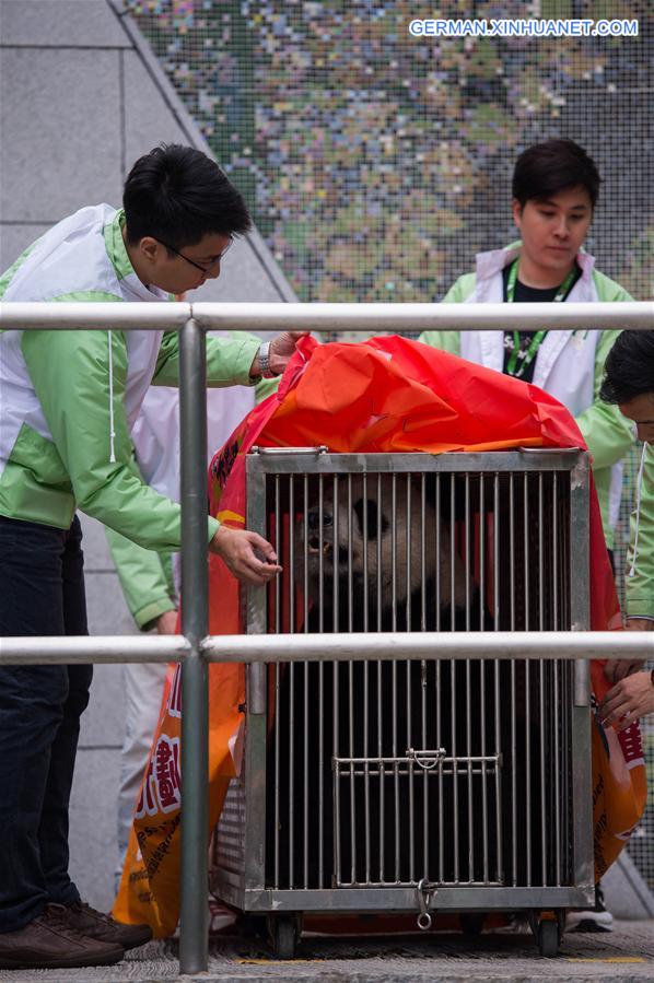 CHINA-MACAO-GIANT PANDA-DEPARTURE (CN)