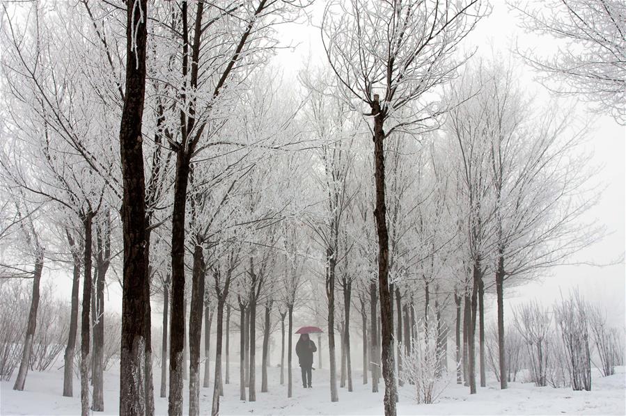 #CHINA-INNER MONGOLIA-HOHHOT-RIME(CN)