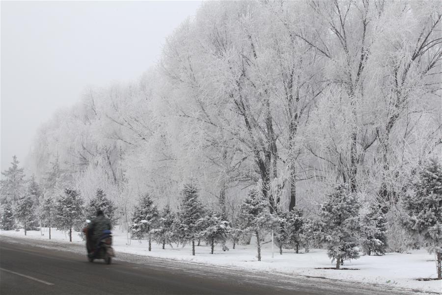 #CHINA-INNER MONGOLIA-HOHHOT-RIME(CN)