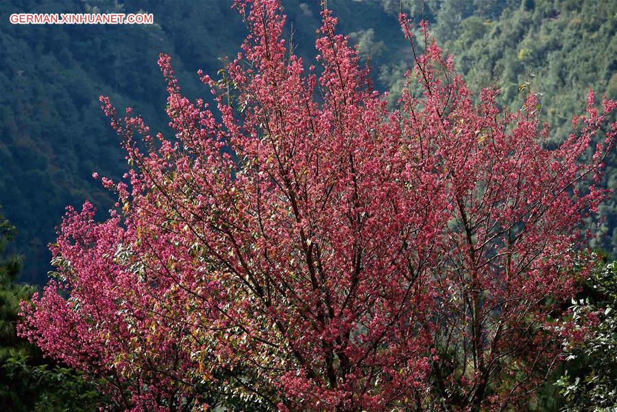 CHINA-YUNNAN-JINGDONG-SCENERY (CN)