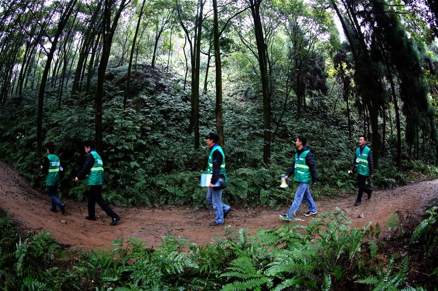 #CHINA-SICHUAN-YIBIN-CUIPING MOUNTAIN (CN)