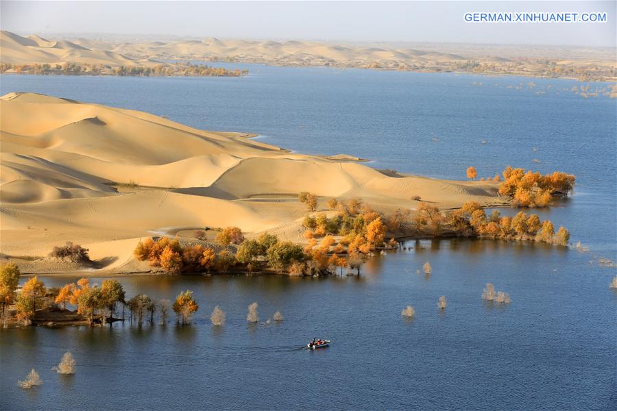 #CHINA-XINJIANG-DESERT POPLAR-SCENERY (CN) 