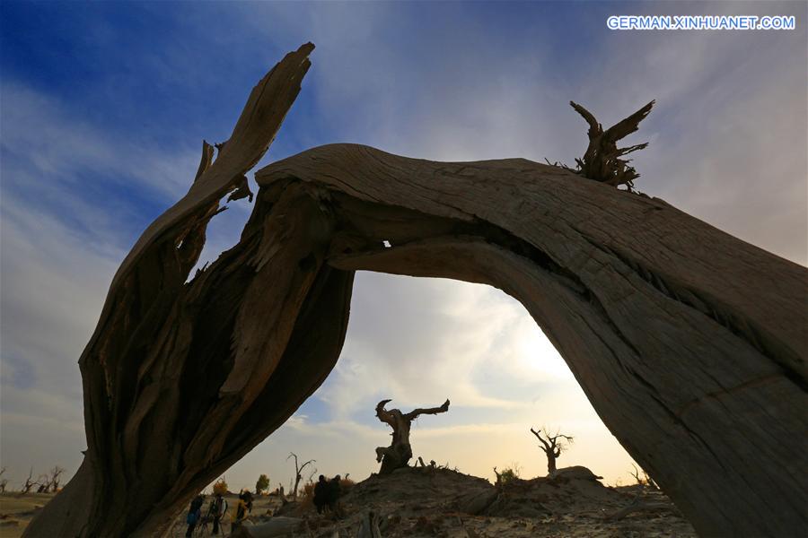 #CHINA-XINJIANG-DESERT POPLAR-SCENERY (CN) 