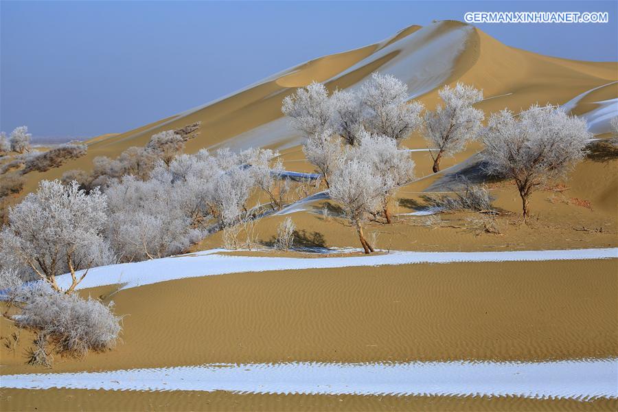 #CHINA-XINJIANG-DESERT POPLAR-SCENERY (CN) 