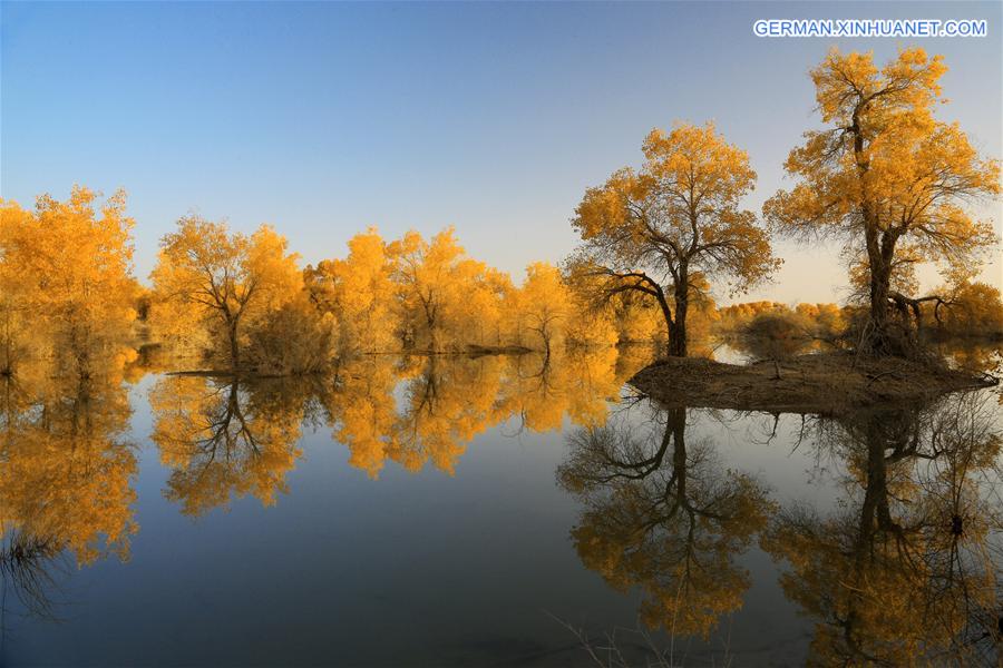 #CHINA-XINJIANG-DESERT POPLAR-SCENERY (CN) 