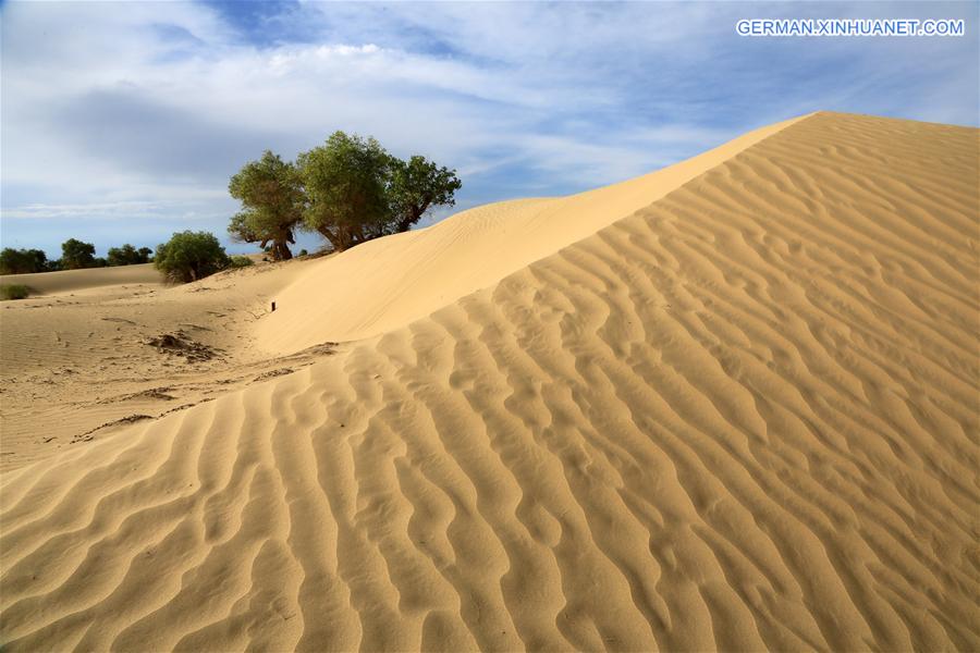 #CHINA-XINJIANG-DESERT POPLAR-SCENERY (CN) 