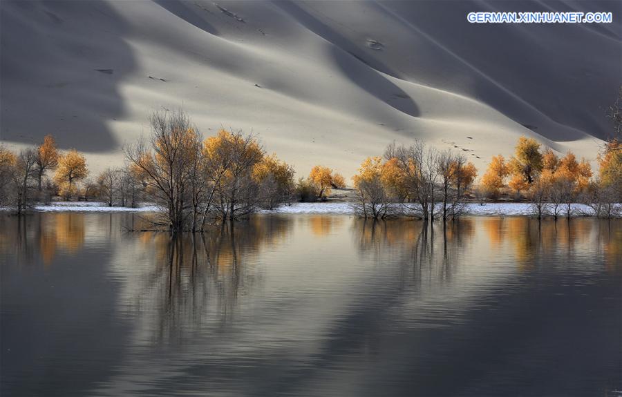 #CHINA-XINJIANG-DESERT POPLAR-SCENERY (CN) 