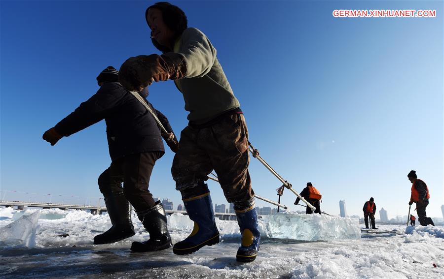 CHINA-HEILONGJIANG-HARBIN-ICE COLLECTING (CN)