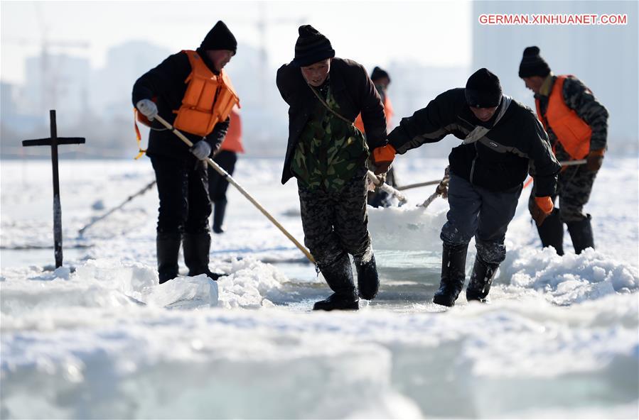 CHINA-HEILONGJIANG-HARBIN-ICE COLLECTING (CN)