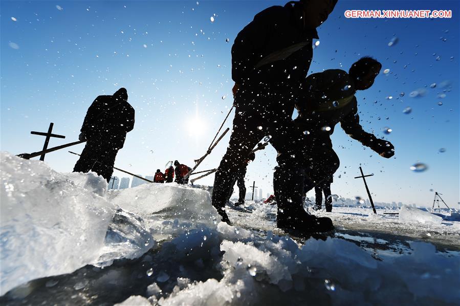 CHINA-HEILONGJIANG-HARBIN-ICE COLLECTING (CN)