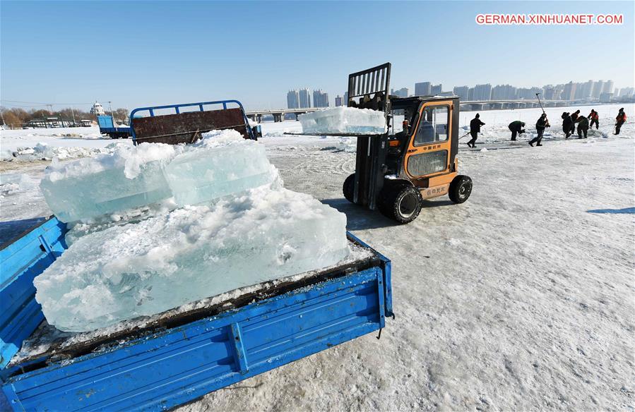 CHINA-HEILONGJIANG-HARBIN-ICE COLLECTING (CN)